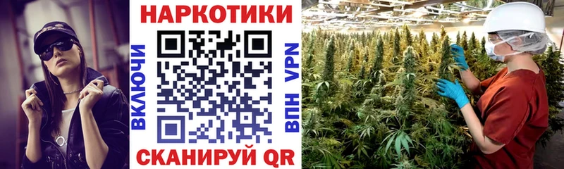 Сколько стоит Петров Вал Alpha PVP Cocaine Псилоцибиновые грибы Канабис Меф мяу мяу