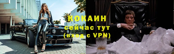 гашик Михайловск