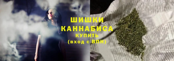 гашик Михайловск