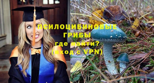2c-b Михайловка
